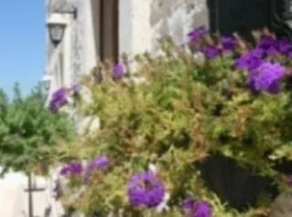 Gospodarstwo wiejskie Masseria Cesarina Castellana Grotte