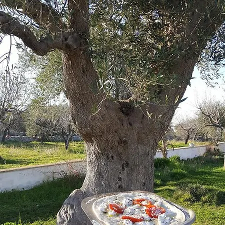 Masseria Cesarina * Castellana Grotte