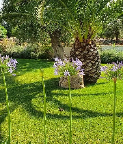 Masseria Cesarina Gospodarstwo wiejskie