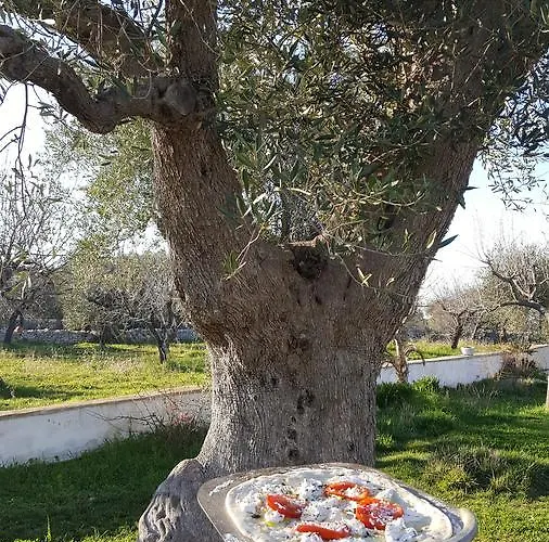 Masseria Cesarina * Кастеллана-Гротте